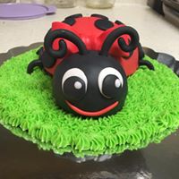 Custom Lady bug cake topper 